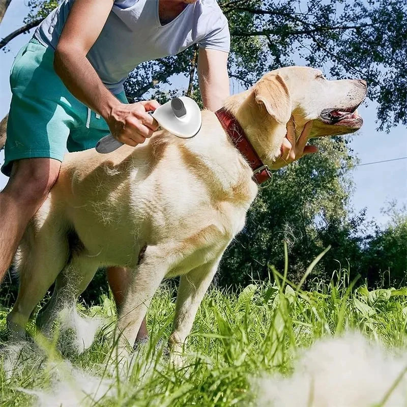 One-Click Self-Cleaning Pet Brush for Dogs & Cats